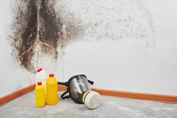 Best Emergency Mold Removal  in Pocono Ranch Lands, PA