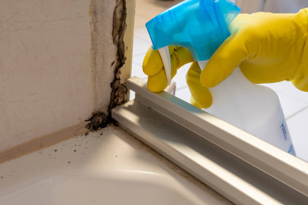 Best Home Mold Removal  in Pocono Ranch Lands, PA