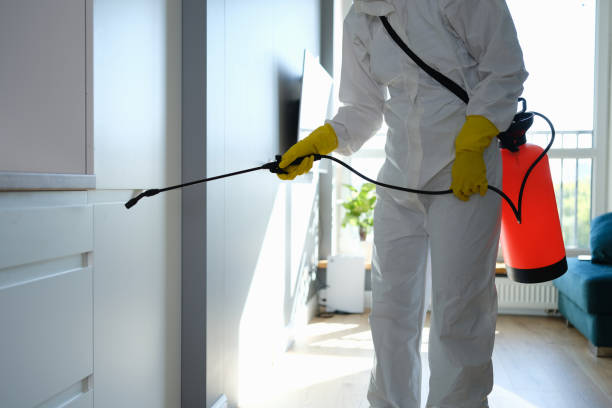 Best Crawl Space Mold Removal  in Pocono Ranch Lands, PA