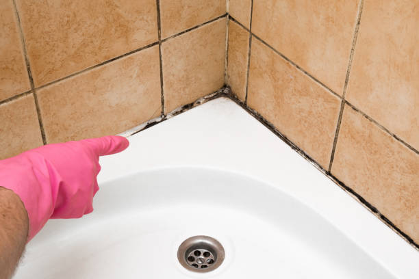 Best Mold Cleaning Services  in Pocono Ranch Lands, PA